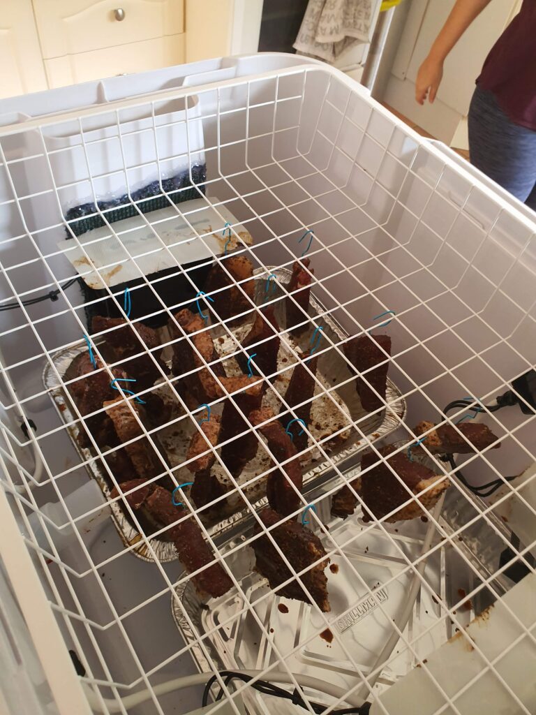 Biltong hanging from a wire-basket inside a plastic box used to make protein power at home.